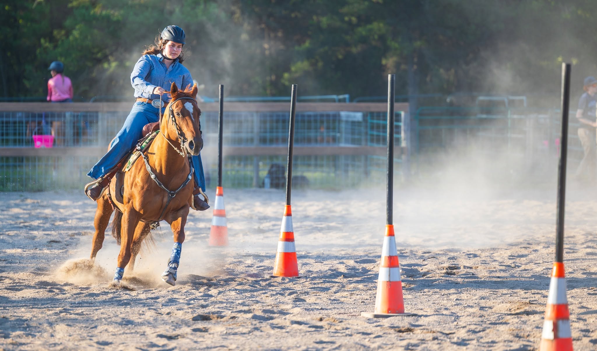 Pole bending at the Waldhof arena